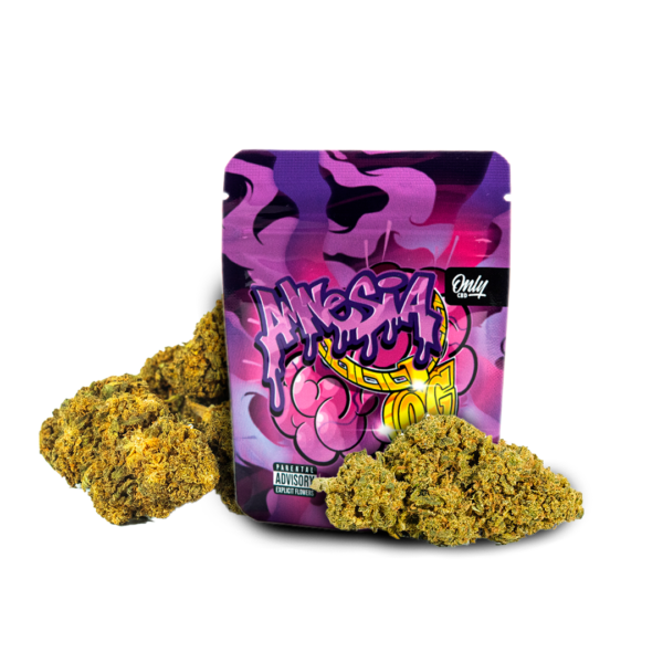 1.-FOTO-PRODUCTO-BOLSA_AMNESIA_FONDO-BLANCO.png AMNESIA OG