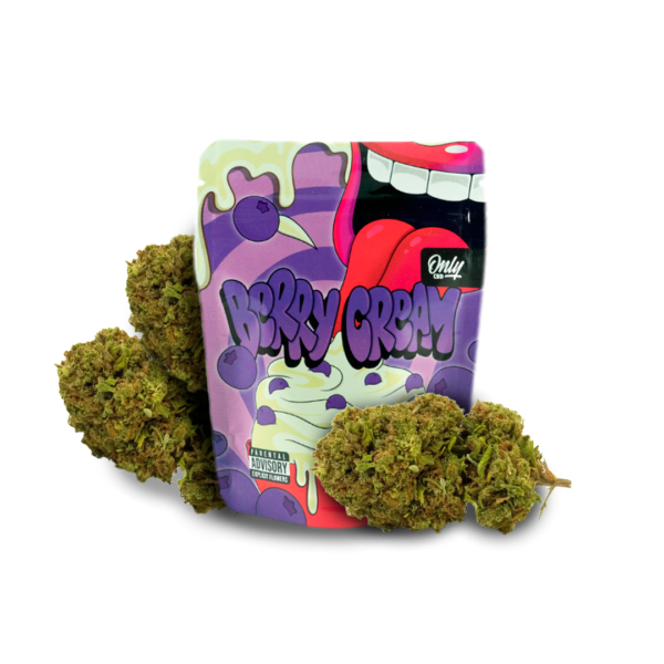 1.-FOTO-PRODUCTO-BOLSA_BERRY-CREAM_SIN-FONDO.png BERRY CREAM CBD
