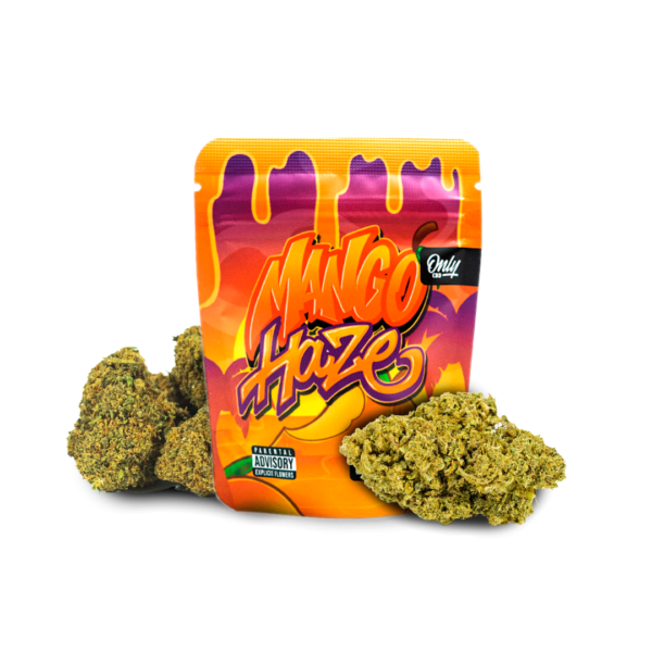 MANGO HAZE
