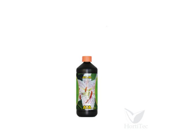 Xl 1 l ata