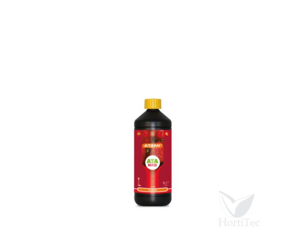 Flavor 1 l ata nrg