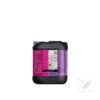 Estimulador floración 100 ml b´cuzz