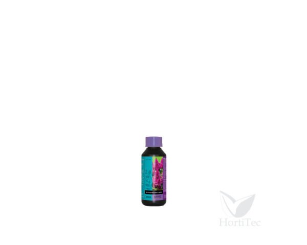 Blossom builder 100 ml  b´cuzz