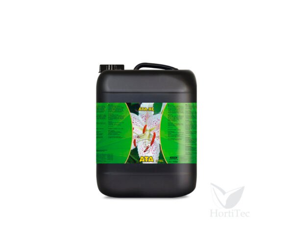 Xl 1 l ata