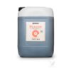 794054_20l_bio-bloom.jpg Bio-bloom Biobizz