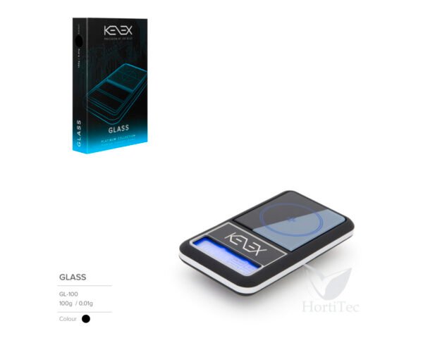 Bascula glass (0,01-100 g) kenex