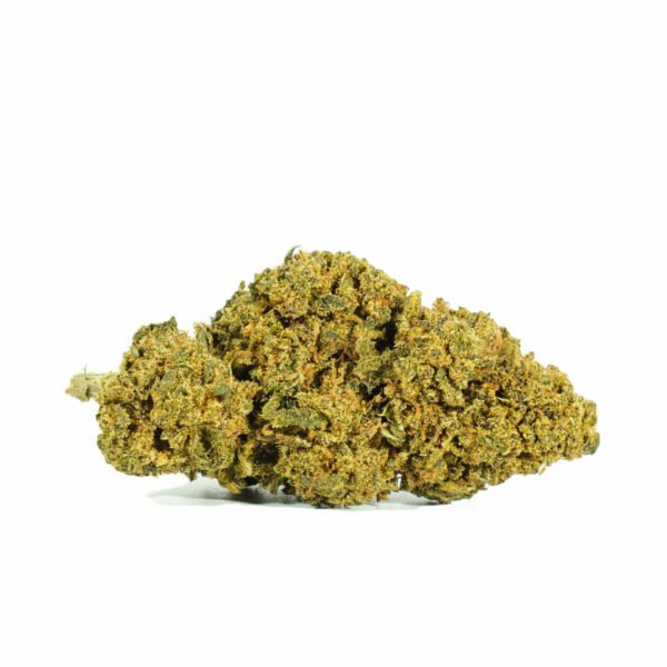 AMNESIA-OG.jpg AMNESIA OG