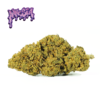 AMNESIA-OGLOGO_1.png AMNESIA OG