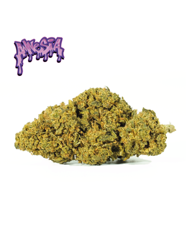 AMNESIA-OGLOGO_1.png AMNESIA OG
