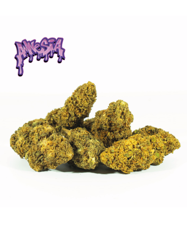 AMNESIA-OGLOGO_2.png AMNESIA OG