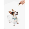 Pet Liver CBD Oil 6% 10ml