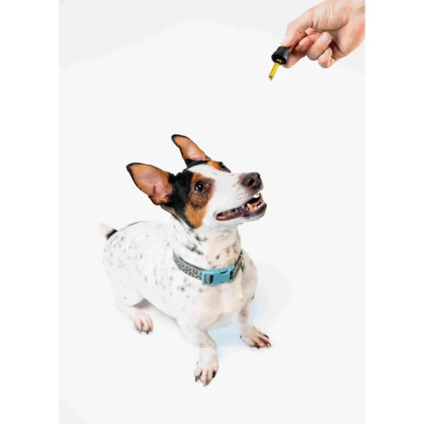 Pet Liver CBD Oil 6% 10ml