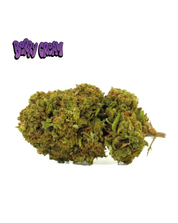 BERRY-CREAMLOGO_1.png BERRY CREAM CBD