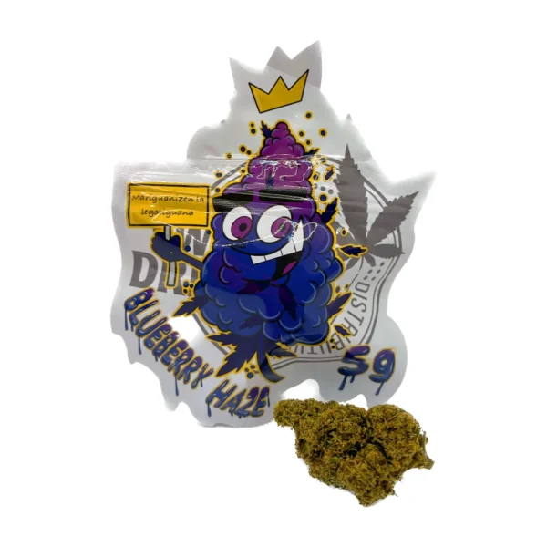 Blueberry-Haze-CBD-Sweed-Dreams.webp Blueberry Haze CBD Sweed Dreams