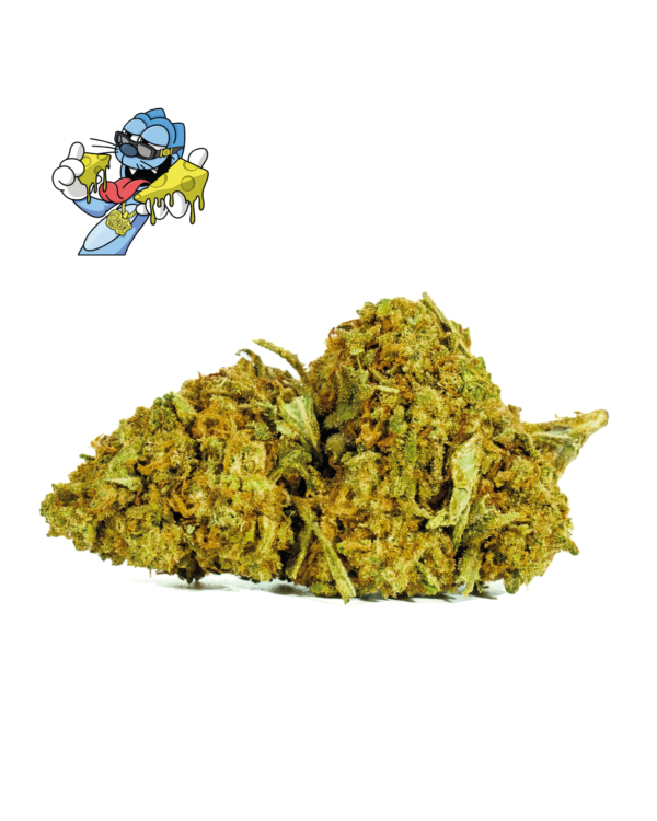 CHEESELOGO_1.png BLUE CHEESE
