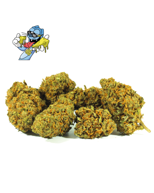 CHEESELOGO_2.png BLUE CHEESE