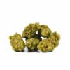 CHERRY-BOMB-CALI.jpg CHERRY BOMB CALI