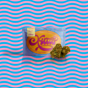 XUXES GALETO CBD