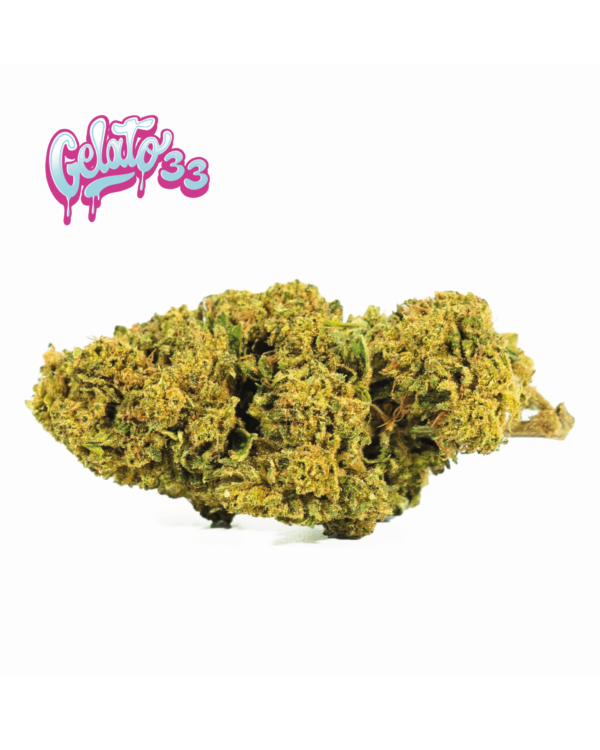 GELATO 33 CBD
