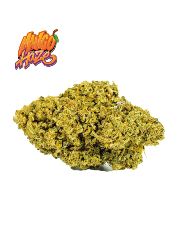 MANGO HAZE