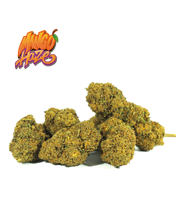 MANGO HAZE