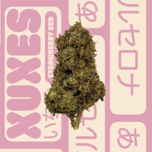 COMBO PACK