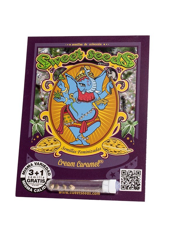 Cream Caramel®(3+1 Gratis) Sweet Seeds