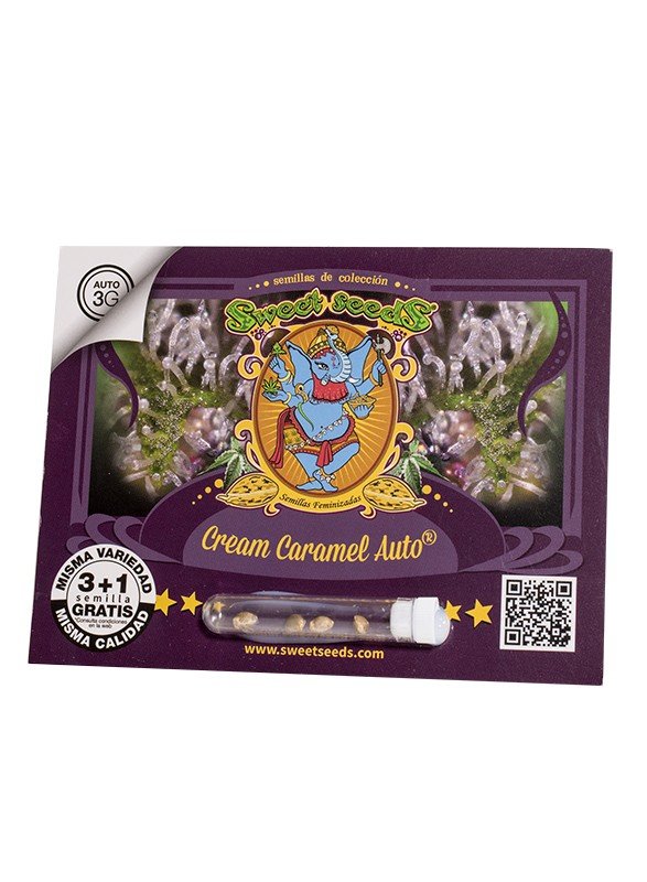 cream-caramel-auto.jpg Cream caramel auto (3+1 Gratis) Sweet seeds