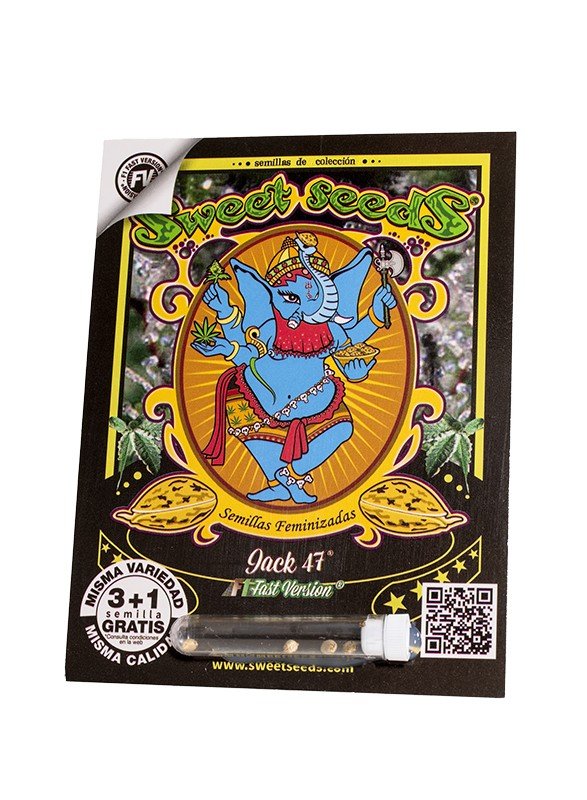 jack-47-f1-fast-version.jpg Jack 47 f1 fast version (3+1Gratis) 100% sweet seeds