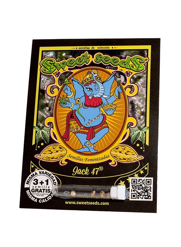 Jack 47 (3+1Gratis) 100% sweet seeds