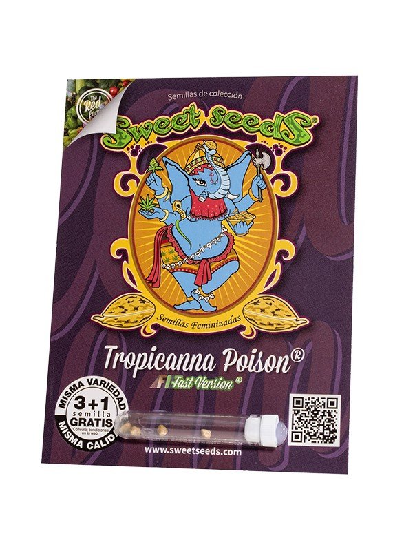 tropicanna-poison-f1-fast-version-3.jpg Tropicanna Poison F1 Fast Version® (3+1 Gratis)