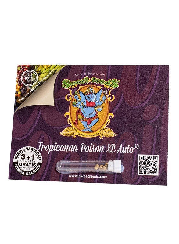 Tropicanna Poison XL Auto®(3+1 Gratis) Sweet seeds